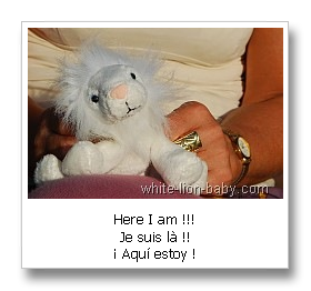 Little white lion-baby - here I am!