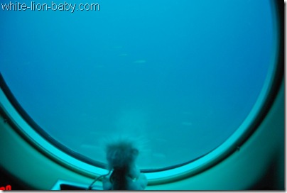 Fisch-Beobachtung in 18 Meter Tiefe