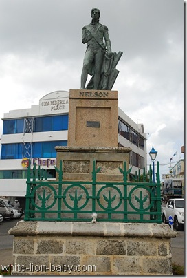 Löwenbaby am Nelson-Denkmal in Bridgetown