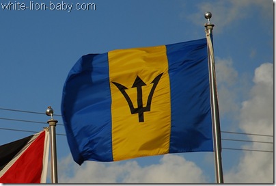 Die Flagge von Barbados