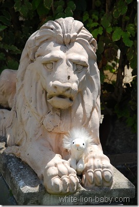 Löwenbaby mit noch einem steinerndem Löwen