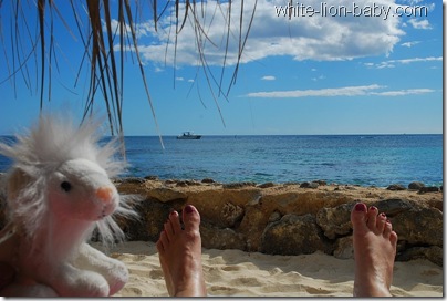 Lieblingsplatz am Strand