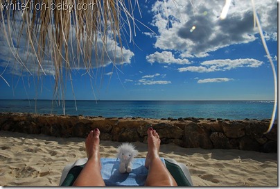 In der Mittagssonne am Strand