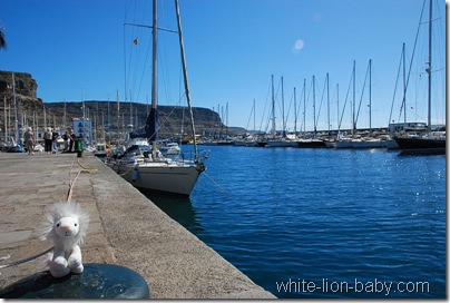 Am Hafen von Puerto de Mogán