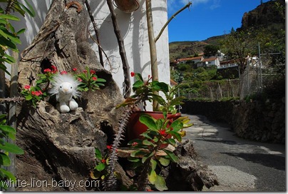 In der Calle los Ríos in Fataga