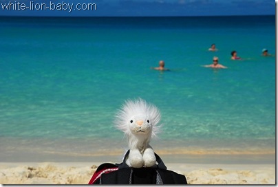 Türkisfarbenes Meer am Eagle Beach