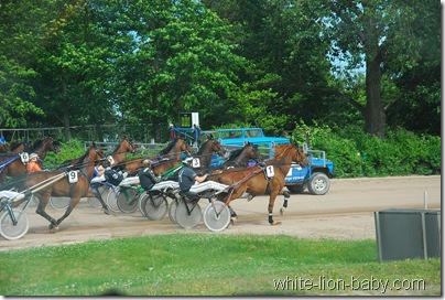 Blick aus dem Begleit-Auto