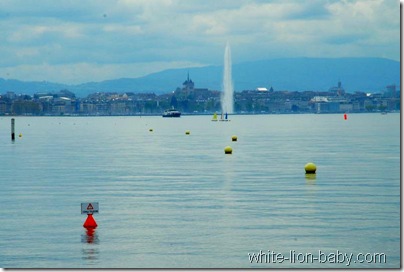 Wasserfontäne im Genfer See