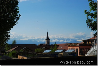 Blick zu den Bergen