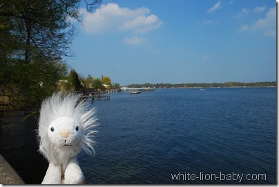 Blick über die Havel