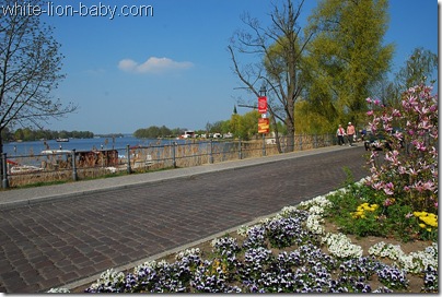 Brücke mit Blüten