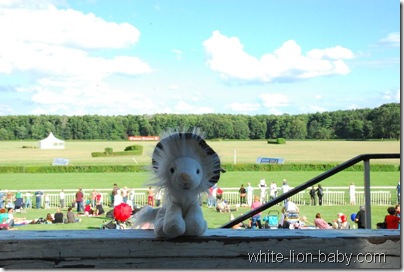 Abend in Hoppegarten