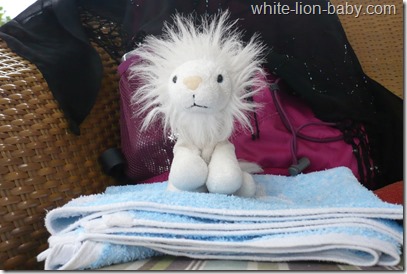 Löwenbaby auf dem Handtuch