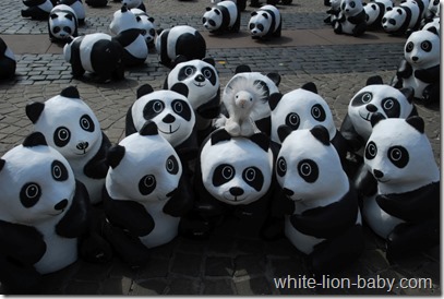 Inmitten der Pandas