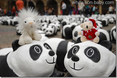 Zusammen mit Teddy und vielen Pandas